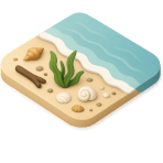 ¿Dónde el mar deja conchas y algas?