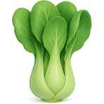 ¿Qué verdura asiática tiene hojas verdes y tallos blancos?