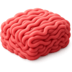 ¿Qué carne molida usas para hamburguesas?