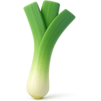 ¿Qué verdura parece una cebolla larga?