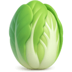 ¿Qué col asiática alargada usas?