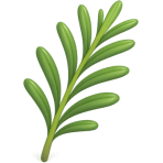 ¿Qué hierba aromática usas con cordero?