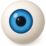 ¿Qué órgano te permite ver?