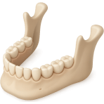 ¿Qué hueso mueves cuando masticas?