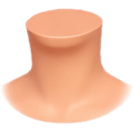 ¿Qué palabra usas para "neck"?