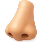 ¿Por dónde respiras?