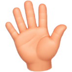 ¿Qué palabra usas para "palm"?