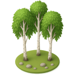 ¿Qué bosque tiene árboles blancos?