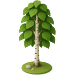 ¿Qué árbol tiene corteza blanca?