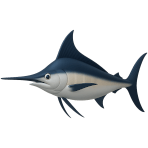 ¿Qué pez es el más rápido del océano?