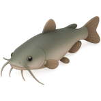 ¿Qué pez tiene bigotes?