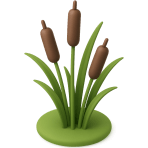 ¿Qué planta parece un cigarro y crece en pantanos?