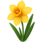 ¿Qué flor amarilla anuncia la primavera?