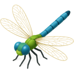 ¿Qué insecto tiene cuatro alas transparentes?