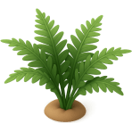 ¿Qué planta verde tiene hojas en forma de pluma?