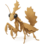 ¿Qué insecto parece una hoja seca?