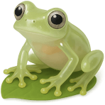 ¿Qué rana tiene piel transparente?