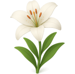 ¿Qué flor elegante crece en el agua?