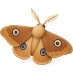 ¿Qué insecto parece una mariposa pero vuela de noche?