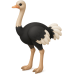 ¿Qué ave es la más grande del mundo?