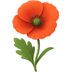 ¿Qué flor roja es símbolo de recuerdo?