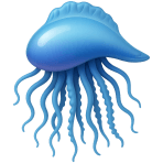 ¿Qué criatura marina parece medusa pero no lo es?