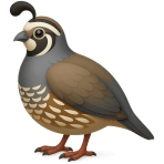 ¿Qué ave pequeña es?