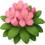 ¿Qué arbusto tiene flores grandes y coloridas?