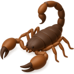 ¿Qué arácnido tiene cola venenosa?