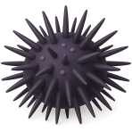 ¿Qué animal marino tiene espinas?