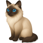 ¿Qué gato tiene puntas oscuras en las orejas y cola?