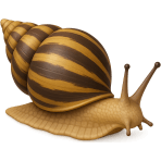 ¿Qué animal lleva su casa en espiral?