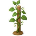 ¿Qué planta trepa y se enrolla?