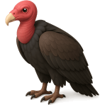 ¿Qué ave come animales muertos?