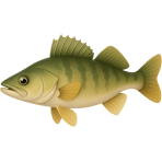 ¿Qué pez tiene ojos grandes y brillantes?