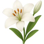 ¿Qué lirio blanco simboliza pureza?