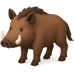 ¿Qué cerdo salvaje es?