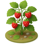 ¿Qué arbusto silvestre da frutos rojos?