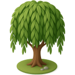 ¿Qué árbol tiene ramas que cuelgan?