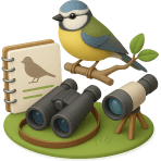 ¿Qué actividad es observar aves en su hábitat natural?